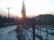 Sonnenuntergang in den Weinbergen von Radebeul