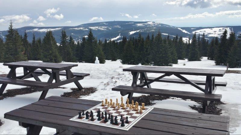 Schach-Arrangement